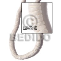 Graduated white clam