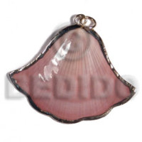 Amosiom shell approx. 35mm