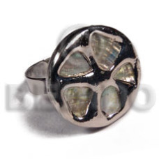 Glistening yellow abalone cowrie