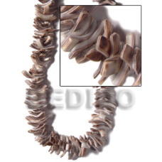 Tiger cowrie mini sticks