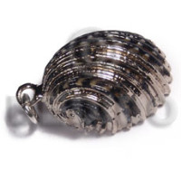 Sihe shell - spiral approx.