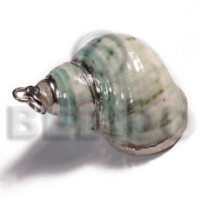 Green turbo shell approx.