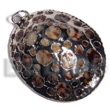 Oval limpit shell approx.