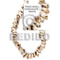 Frog shell chocolate white