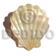 MOP shell design brooch - Home