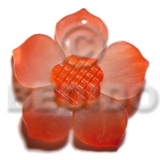 graduated red 40mm hammershell flower  grooved nectar - Shell Pendant