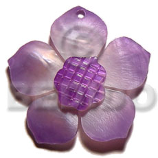 graduated lavender 30mm hammershell flower  grooved nectar - Shell Pendant