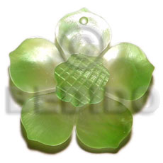 graduated lime green 25mm hammershell flower  grooved nectar - Shell Pendant