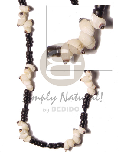 nipples shell  4-5 blk coco Pokalet and beads - Home