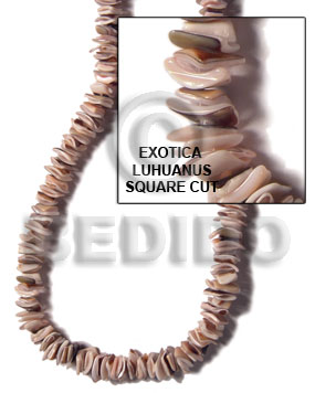 exotica luhuanus square cut - Home