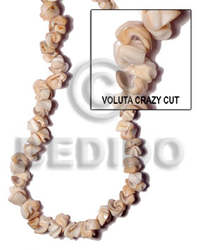 voluta crazy cut - Home