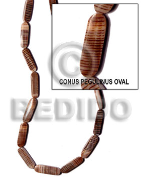 conus pegulinus oval / back to back - Home