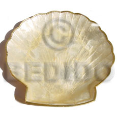 capiz clam shaped plate 8x8 inches ( medium ) - Home