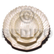 capiz king scallop shell  out brass  / 3pc set - Home