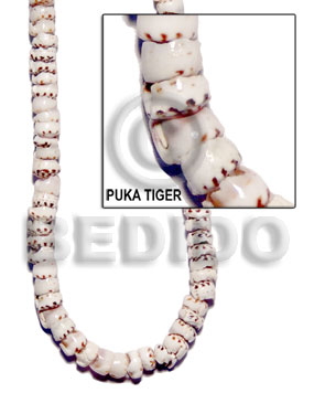 puka tiger - as is class a / specify size 4-5, 7-8, 9-11, 14-15, jumbo - Home