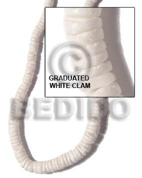 graduated white clam - Home