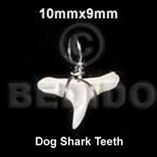 dog shark teeth pendant 10mmx9mm- approximate 10mmx9- tooth sizes could vary - Horn Pendant Bone Pendants