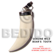 wild boars tooth - Horn Pendant Bone Pendants