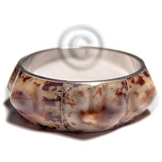 limpet  shells in 1in. metal casing / inner diameter 65mm - Shell Bangles