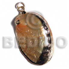 glistening orange abalone (approx.  45mm - varying natural sizes ) molten gold metal series /  attached jump rings / electroplated / a-7 - Shell Pendant