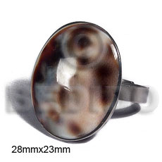 big accent haute hippie ring /adjustable metal / 28mmx23mm oval embossed and laminated cowrie tiger shell - Home