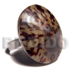 big accent haute hippie oval 28mmx24mm / adjustable metal ring/  polished limpet shell /set for bfj530bl - Home