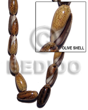 olive shell whole - Home