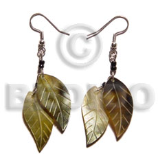 dangling double leaf brownlip 25mm - Home