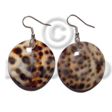dangling round 35mm cowrie shell - Home