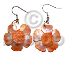 dangling graduated orange 30mm hammershell  flower  grooved nectar - Home