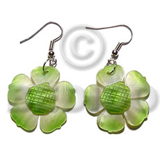 dangling graduated green 30mm hammershell  flower  grooved nectar - Home