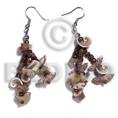 dangling buri tiger seeds  4-5mm coco nat. brown and luhuanus shells combination - Home