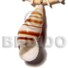 land snail - Shell Pendant