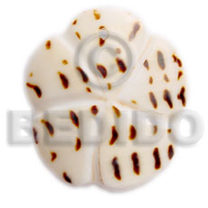 45mm scallop  groove cunos - Shell Pendant