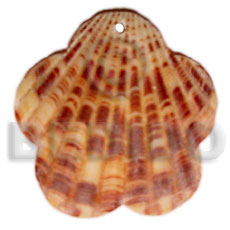 piktin scallop - Shell Pendant