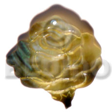 35mm blacklip rose - Shell Pendant