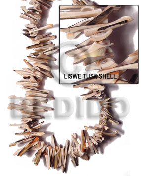 liswe tusk shell - Home