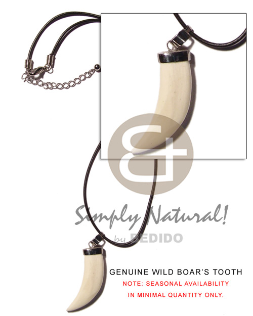 wax cord    genuine wild boars fang pendant - Home