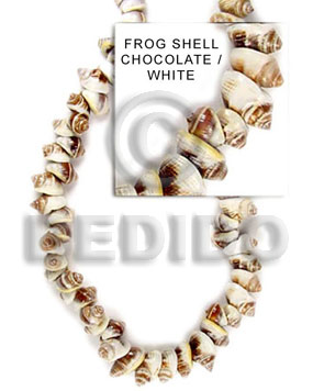 frog shell chocolate / white - Home