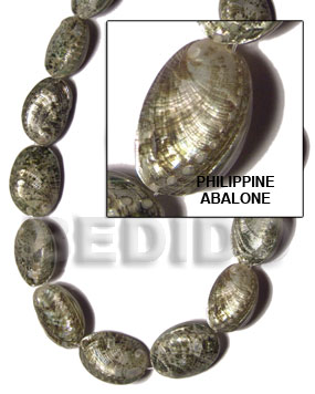philippine abalone - Home