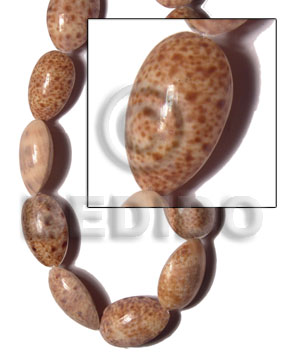 cypraea link 20mmx20mmx12mm / varying sizes / 12 pcs. - Home