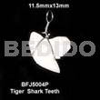 Tiger shark teeth pendant 11.5mmx13mm-