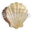 Mop shell design brooch