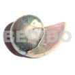 Nautilus shell brooch