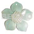 45mm turquoise hammershell flower