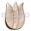 Tulip hammershell 40mm