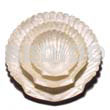 Capiz king scallop shell