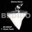 Encasted y shark teeth pendant