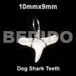 Dog shark teeth pendant 10mmx9mm-