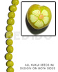 Kukui seed yellow